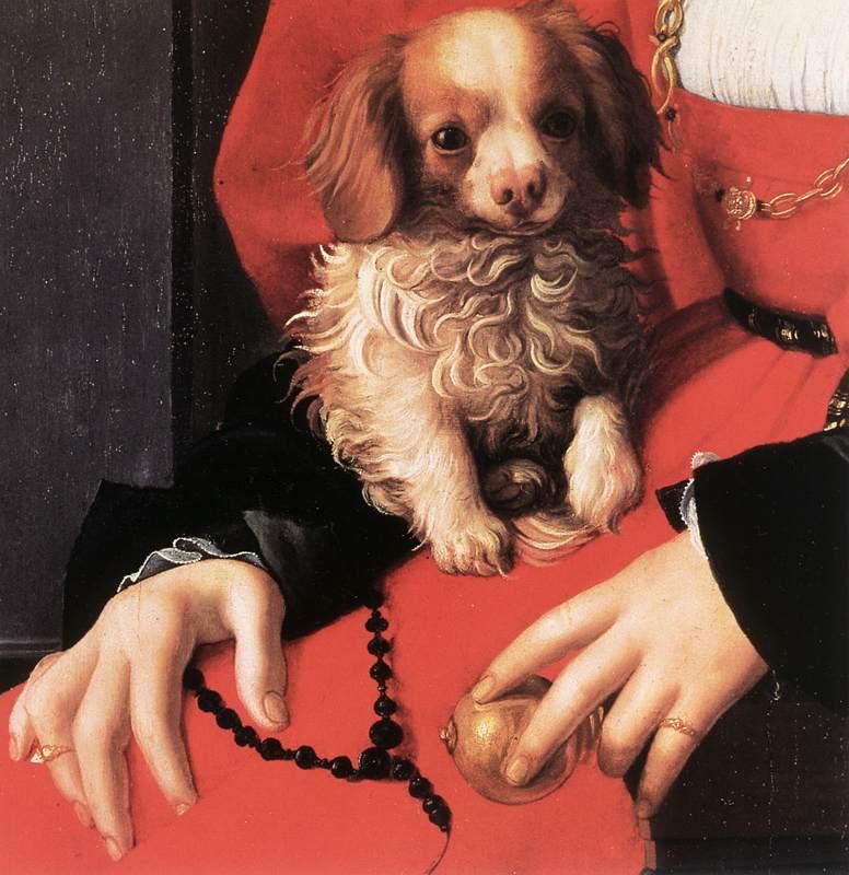 BRONZINO, Agnolo Portrait of a Lady with a Puppy (detail) fg oil painting image